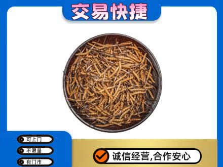 陇南市西和礼品回收虫草.jpg